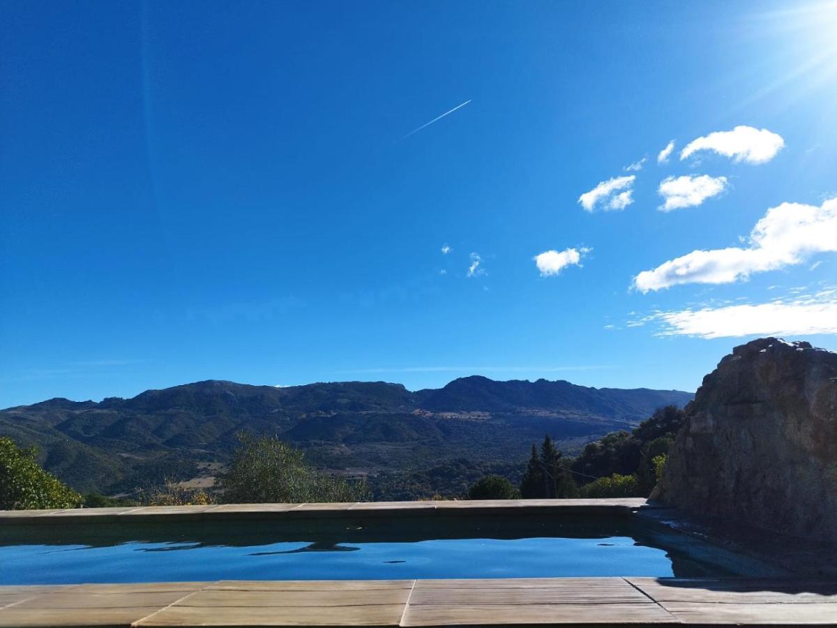 Casa El Pino Guest House Cortes de la Frontera Luaran gambar